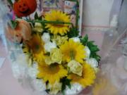 画像(180x135)・拡大画像(320x240)