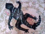 画像(180x135)・拡大画像(640x480)