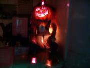 画像(180x135)・拡大画像(320x240)