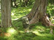 �摜(180x135)�E�g��摜(640x480)