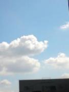 �摜(135x180)�E�g��摜(220x293)