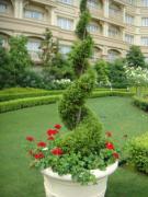 �摜(135x180)�E�g��摜(480x640)