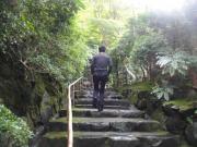 �摜(180x135)�E�g��摜(640x480)