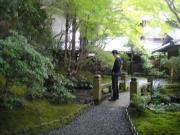 �摜(180x135)�E�g��摜(640x480)