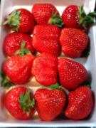 �摜(135x180)�E�g��摜(480x640)