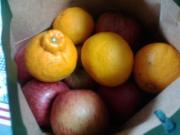 �摜(180x135)�E�g��摜(320x240)