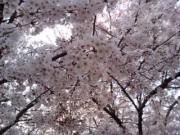 画像(180x135)・拡大画像(320x240)