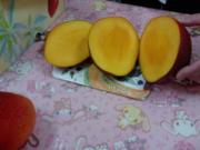 �摜(180x135)�E�g��摜(320x240)