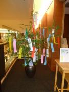 �摜(135x180)�E�g��摜(480x640)