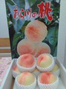 �摜(135x180)�E�g��摜(480x640)