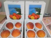 �摜(180x135)�E�g��摜(640x480)