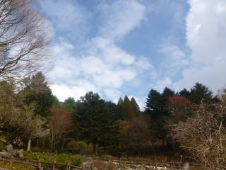 画像(320x240)・拡大画像(640x480)