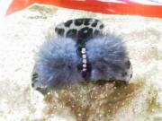 �摜(180x135)�E�g��摜(640x480)