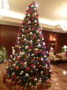 �摜(135x180)�E�g��摜(480x640)