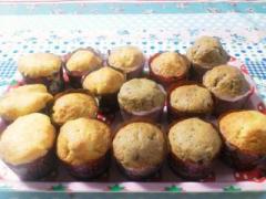 �摜(240x180)�E�g��摜(640x480)