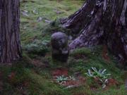 画像(180x135)・拡大画像(640x480)