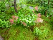 画像(180x135)・拡大画像(640x480)