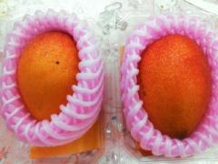 �摜(240x180)�E�g��摜(640x480)