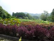 �摜(180x135)�E�g��摜(640x480)