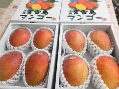 �摜(240x180)�E�g��摜(640x480)