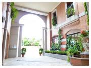 �摜(180x135)�E�g��摜(281x211)