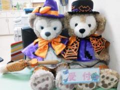 �摜(240x180)�E�g��摜(640x480)