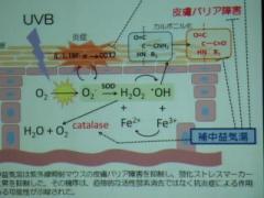 �摜(240x180)�E�g��摜(640x480)