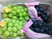 �摜(180x135)�E�g��摜(640x480)