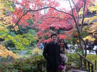 画像(320x240)・拡大画像(640x480)