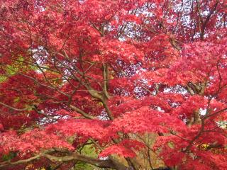 画像(320x240)・拡大画像(640x480)