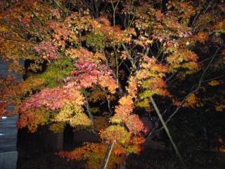 画像(320x240)・拡大画像(640x480)