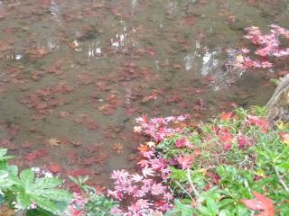 画像(320x240)・拡大画像(640x480)