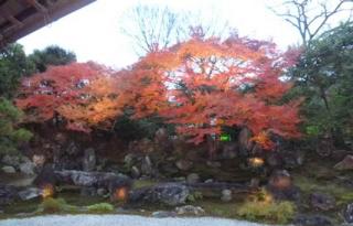 画像(320x205)・拡大画像(533x342)