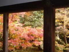 画像(240x180)・拡大画像(640x480)