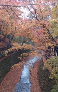 画像(205x320)・拡大画像(410x640)