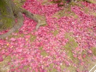 画像(320x240)・拡大画像(640x480)