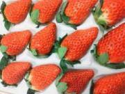 画像(180x135)・拡大画像(640x480)