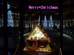 �摜(240x179)�E�g��摜(640x479)