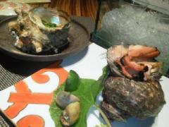 画像(240x180)・拡大画像(640x480)