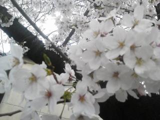 �摜(320x240)�E�g��摜(640x480)