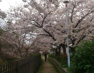 �摜(320x250)�E�g��摜(640x500)