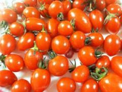 �摜(240x180)�E�g��摜(640x480)