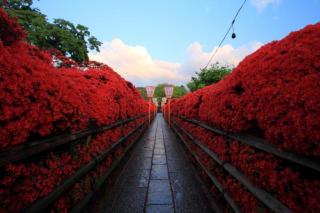 �摜(320x213)�E�g��摜(640x426)