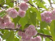 �摜(180x135)�E�g��摜(640x480)