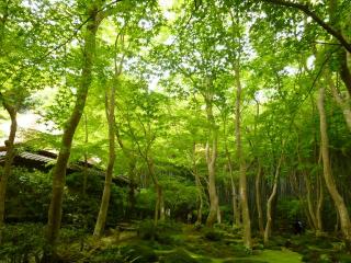 �摜(320x240)�E�g��摜(640x480)