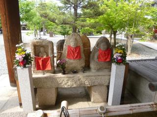 �摜(320x240)�E�g��摜(640x480)