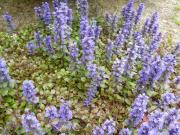 �摜(180x135)�E�g��摜(640x480)