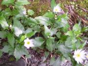 �摜(180x135)�E�g��摜(640x480)