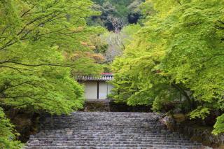 �摜(320x213)�E�g��摜(470x313)