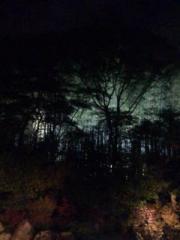 画像(180x240)・拡大画像(480x640)